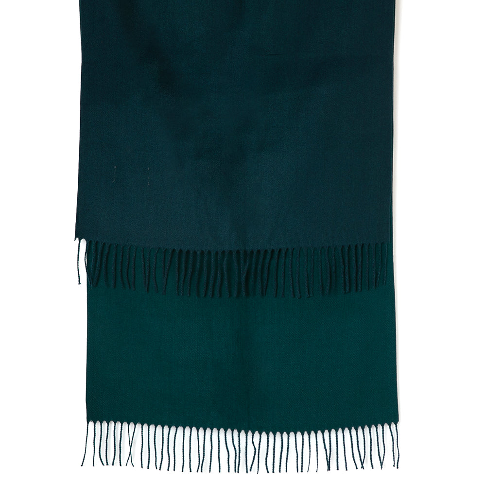 Eva Two-Tone Scarf