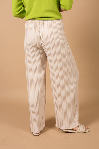 Pleated Palazzo Pants