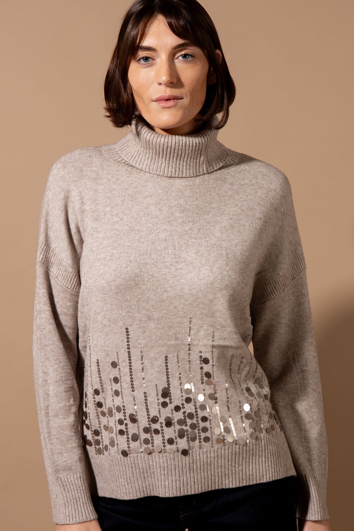 Roll Neck Sequin Front Jumper