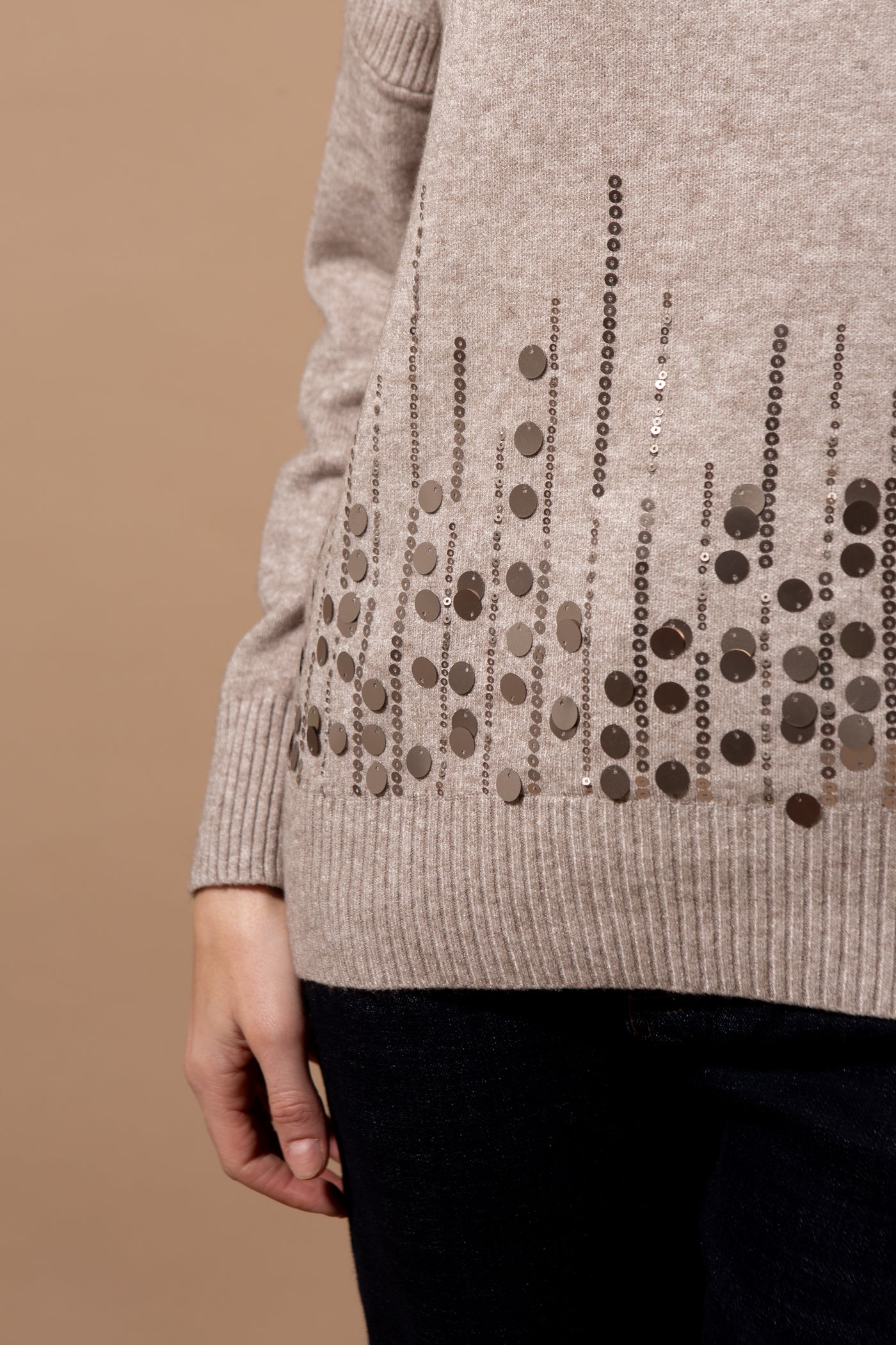 Roll Neck Sequin Front Jumper