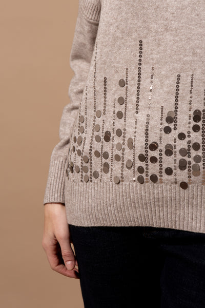 Roll Neck Sequin Front Jumper