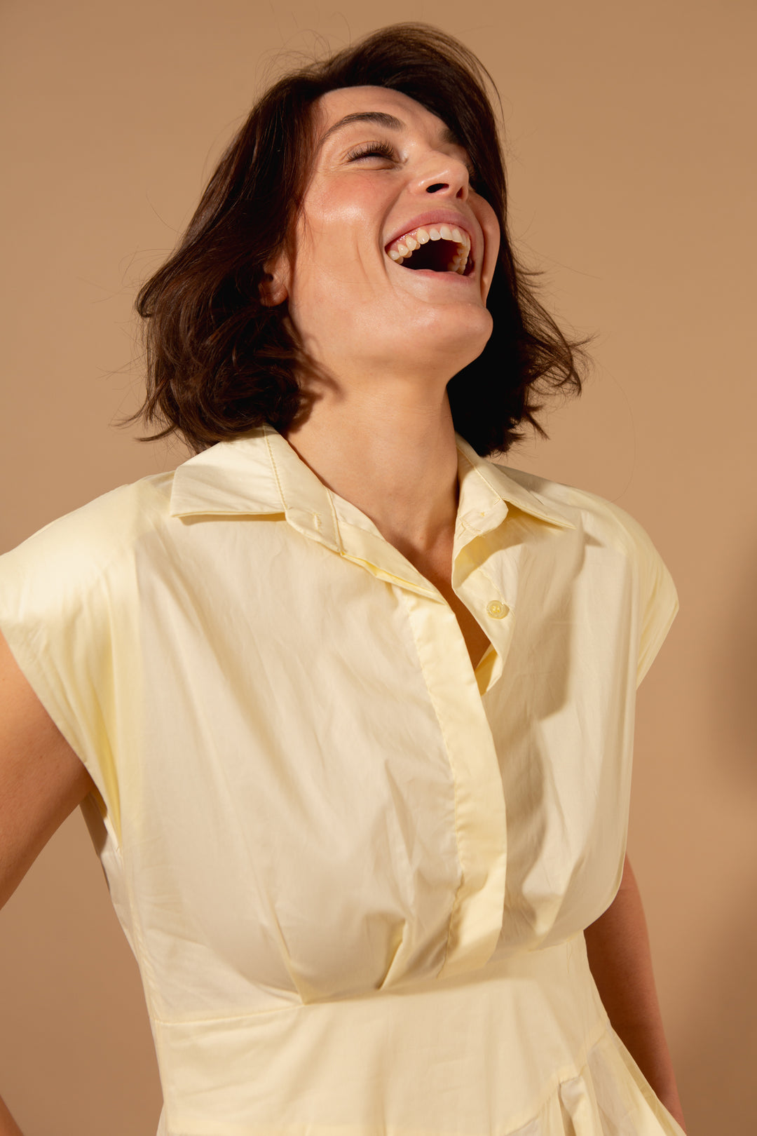Sleeveless Collar Dress